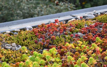 the cost of Bashall Eaves green roof installation