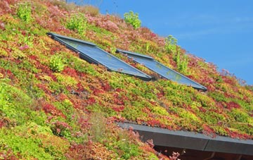 Bashall Eaves living roof systems